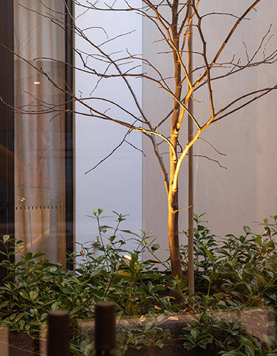 Landscape Lights