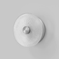 Coral Wall Light