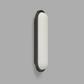 Bode Wall Light