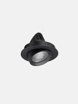 Apex Adjustable Downlight