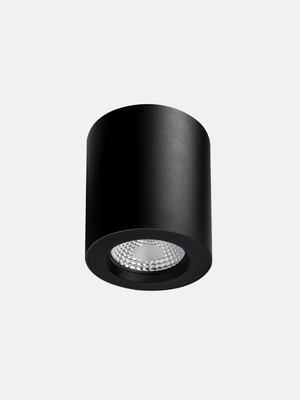 Apex Surface Mounted Downlight