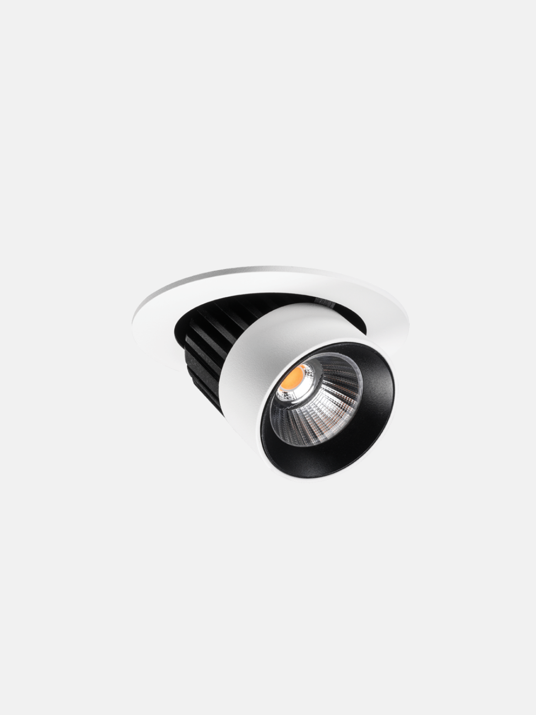 Switch Adjustable Downlight
