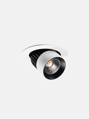 Switch Adjustable Downlight
