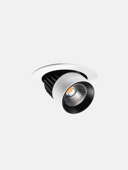 Switch Adjustable Downlight