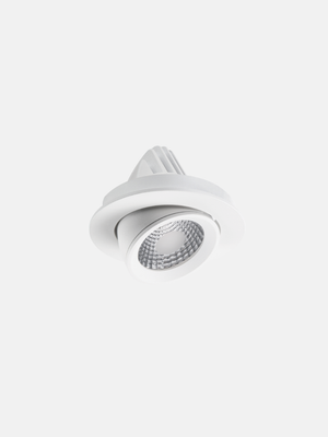 Apex Adjustable Downlight