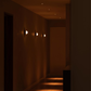 Ion R Focus Downlight