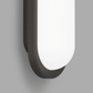 Bode Wall Light