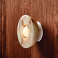 Aurelia Surface Wall Light