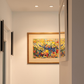 EQ Tilt Downlight