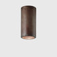 Girasoli Ceiling Light