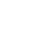 Lights Lights Lights