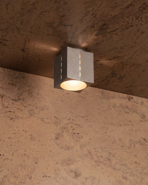 Polaris Ceiling Light