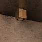 Polaris Ceiling Light