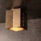 Polaris Ceiling Light