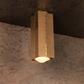 Polaris Ceiling Light
