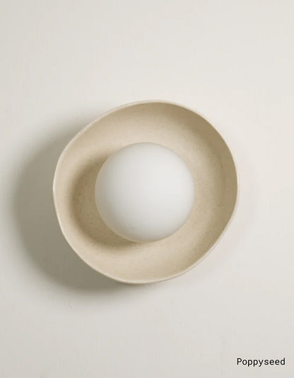 Shell Wall Light