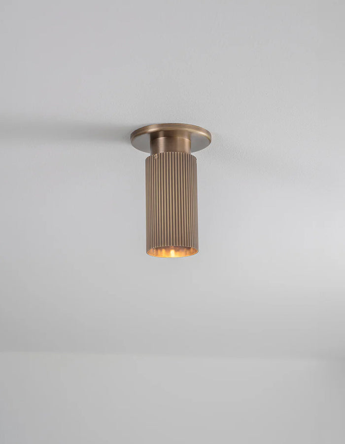 Spot Pro Mini Ceiling Light