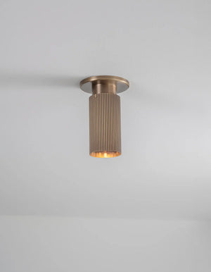 Spot Pro Mini Ceiling Light