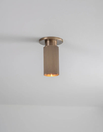 Spot Pro Mini Ceiling Light