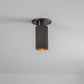 Spot Pro Mini Ceiling Light