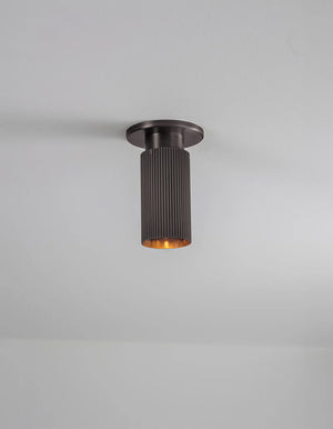 Spot Pro Mini Ceiling Light