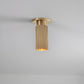 Spot Pro Mini Ceiling Light