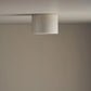 Cylinder Ceiling Light