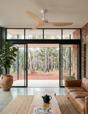 Eco Style DC Fan