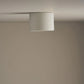 Cylinder Ceiling Light