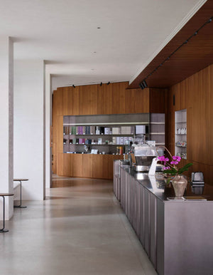 Ion R Trimless Downlight