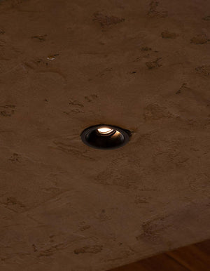 Ion R Adjustable Downlight