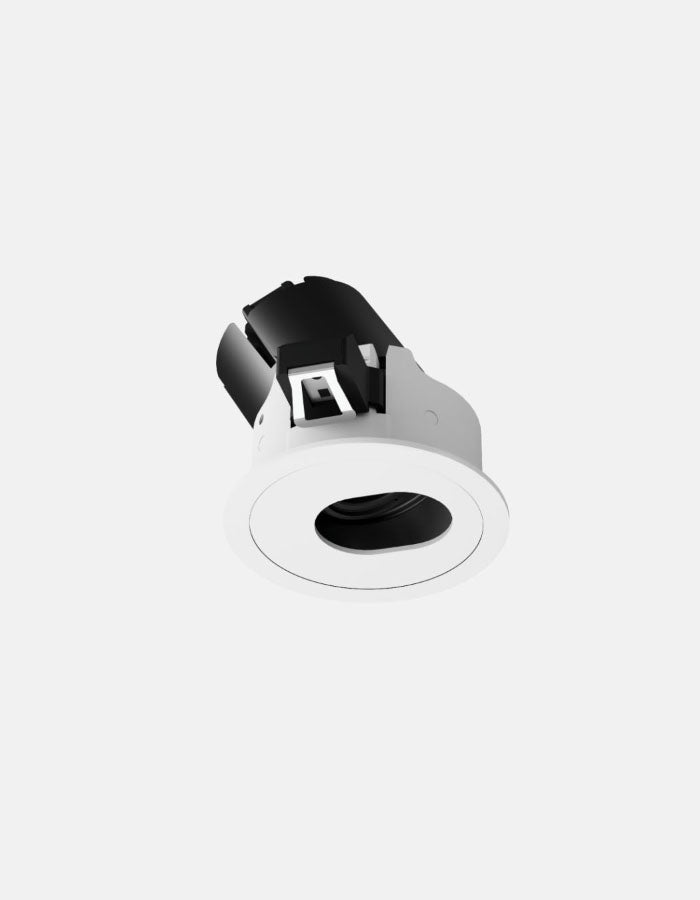 Ion R Accent Downlight